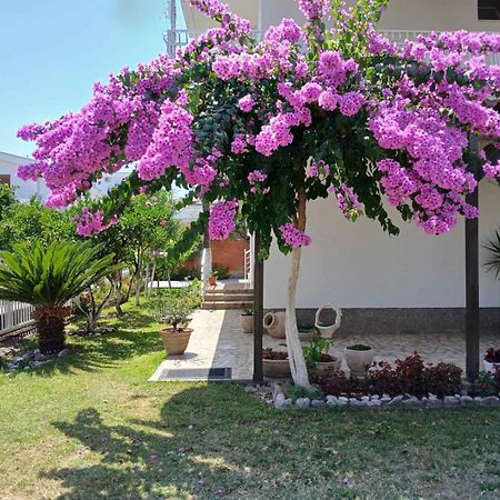 Vila Adriatik Улцинь Экстерьер фото