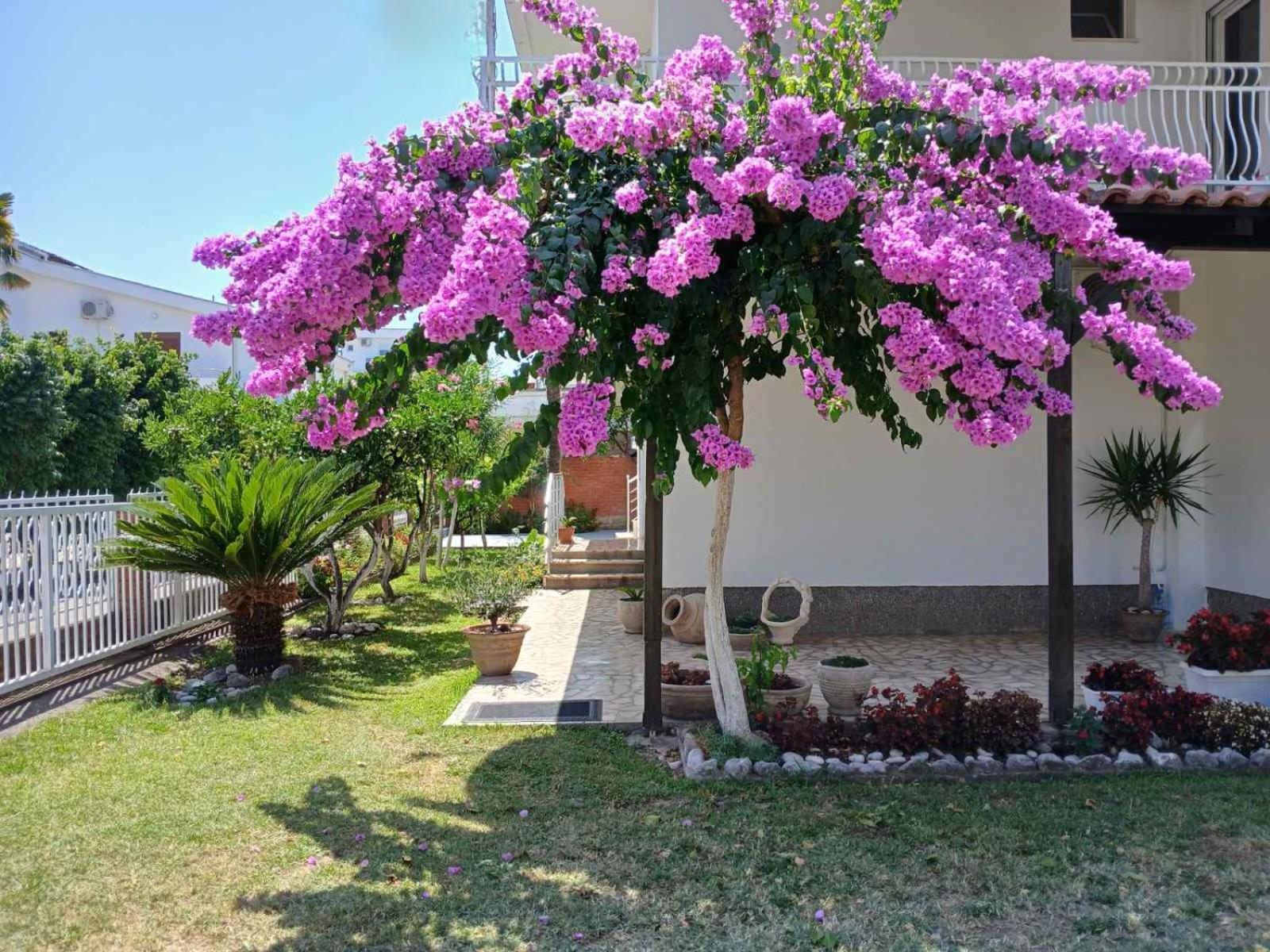 Vila Adriatik Улцинь Экстерьер фото
