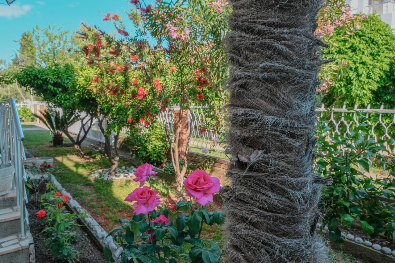 Vila Adriatik Улцинь Экстерьер фото